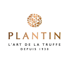 Plantin Truffe